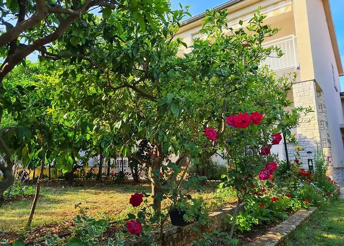 Apartamento Ana