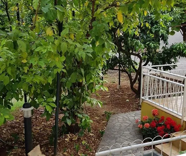 Apartamento Ana
