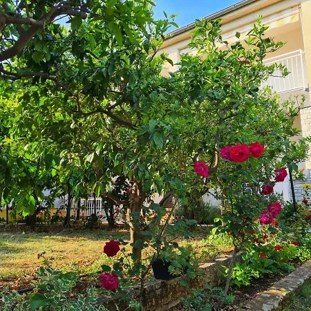 Apartmán Ana
